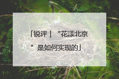锐评｜“花漾北京”是如何实现的
