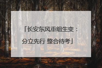 长安东风重组生变：分立先行 整合待考