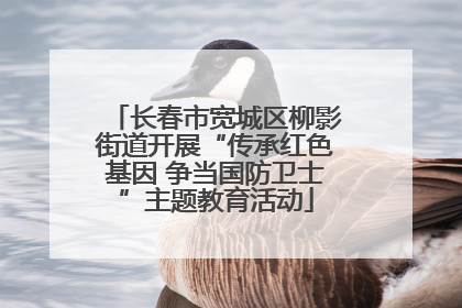 长春市宽城区柳影街道开展“传承红色基因 争当国防卫士”主题教育活动