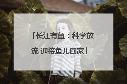 长江有鱼：科学放流 迎接鱼儿回家