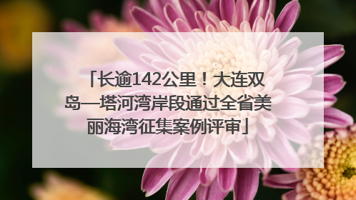 长逾142公里！大连双岛—塔河湾岸段通过全省美丽海湾征集案例评审