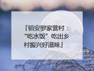 镇安罗家营村：“吃水饭”吃出乡村振兴好滋味