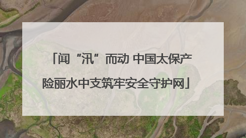 闻“汛”而动 中国太保产险丽水中支筑牢安全守护网