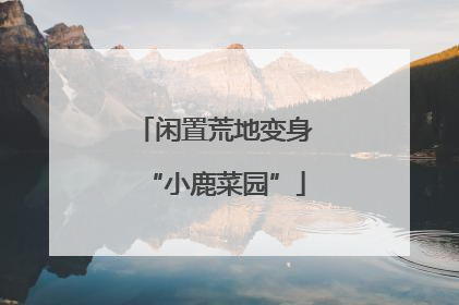 闲置荒地变身“小鹿菜园”