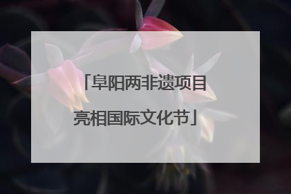 阜阳两非遗项目亮相国际文化节