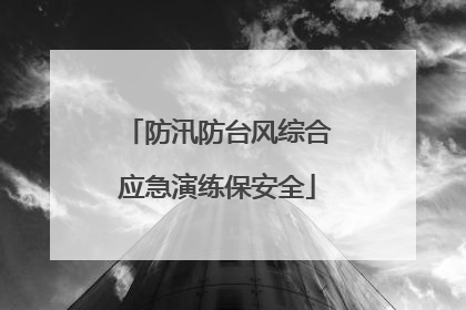 防汛防台风综合应急演练保安全