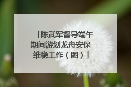 陈武军督导端午期间游划龙舟安保维稳工作（图）