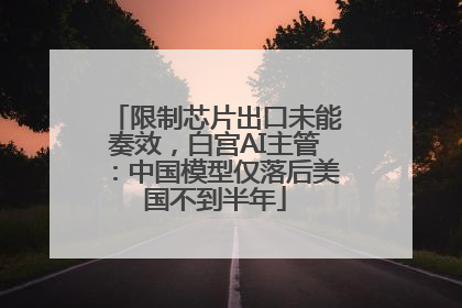 限制芯片出口未能奏效，白宫AI主管：中国模型仅落后美国不到半年