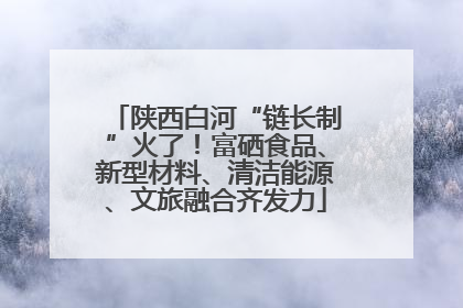 陕西白河“链长制”火了！富硒食品、新型材料、清洁能源、文旅融合齐发力