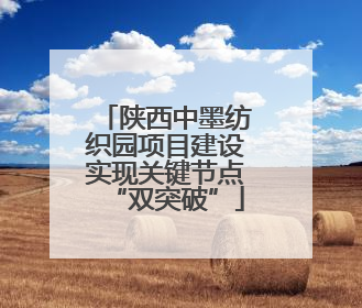 陕西中墨纺织园项目建设实现关键节点“双突破”