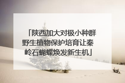 陕西加大对极小种群野生植物保护培育让秦岭石蝴蝶焕发新生机