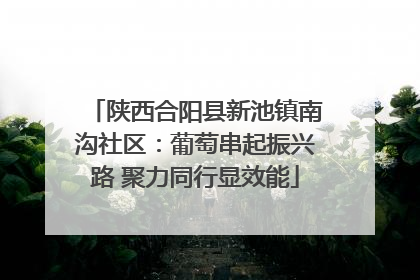 陕西合阳县新池镇南沟社区：葡萄串起振兴路 聚力同行显效能