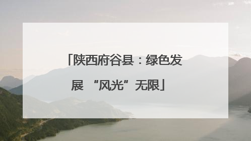 陕西府谷县：绿色发展 “风光”无限