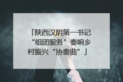 陕西汉阴第一书记“组团服务”奏响乡村振兴“协奏曲”