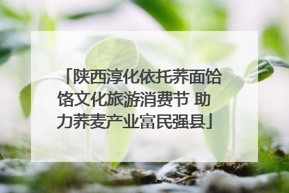 陕西淳化依托荞面饸饹文化旅游消费节 助力荞麦产业富民强县