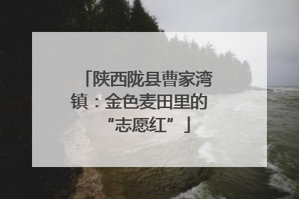 陕西陇县曹家湾镇：金色麦田里的“志愿红”