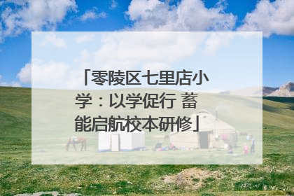 零陵区七里店小学：以学促行 蓄能启航校本研修