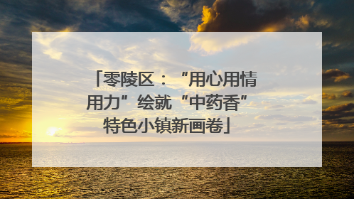 零陵区：“用心用情用力”绘就“中药香”特色小镇新画卷