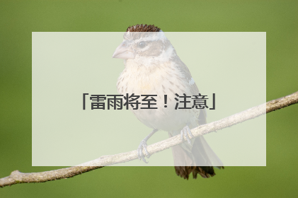 雷雨将至！注意