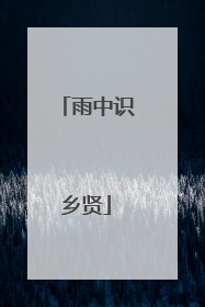 雨中识乡贤