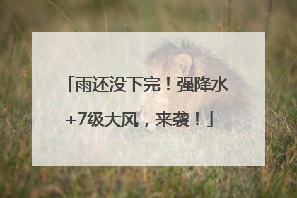 雨还没下完！强降水+7级大风，来袭！