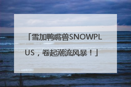 雪加鸭嘴兽SNOWPLUS，卷起潮流风暴！