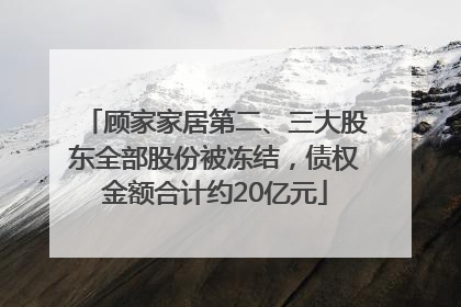 顾家家居第二、三大股东全部股份被冻结，债权金额合计约20亿元