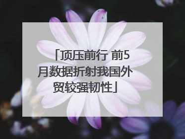 顶压前行 前5月数据折射我国外贸较强韧性