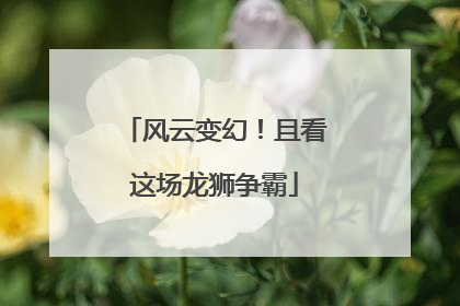 风云变幻！且看这场龙狮争霸