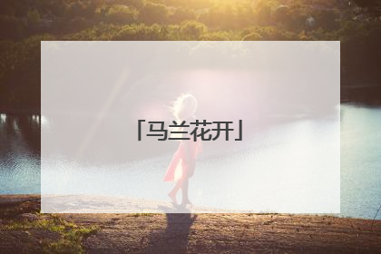 马兰花开