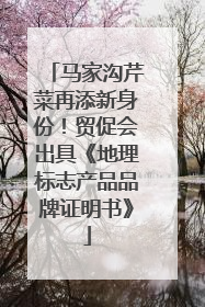 马家沟芹菜再添新身份！贸促会出具《地理标志产品品牌证明书》