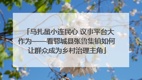 马扎虽小连民心 议事平台大作为——看郓城县张鲁集镇如何让群众成为乡村治理主角
