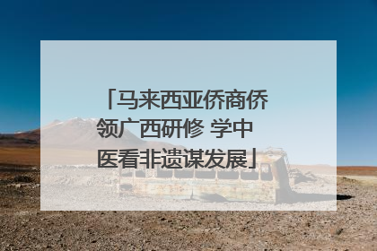 马来西亚侨商侨领广西研修 学中医看非遗谋发展