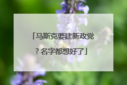 马斯克要建新政党？名字都想好了