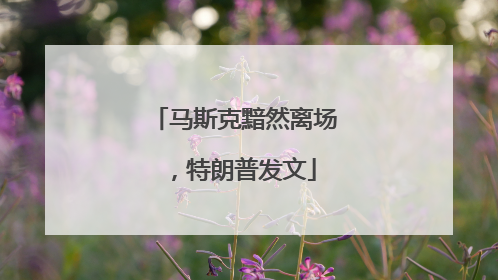 马斯克黯然离场，特朗普发文
