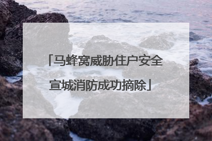 马蜂窝威胁住户安全 宣城消防成功摘除