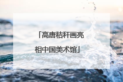 高唐秸秆画亮相中国美术馆