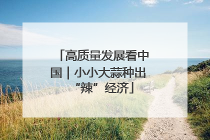 高质量发展看中国｜小小大蒜种出“辣”经济