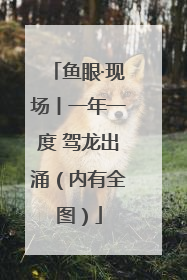 鱼眼·现场丨一年一度 驾龙出涌（内有全图）