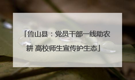 鲁山县：党员干部一线助农耕 高校师生宣传护生态