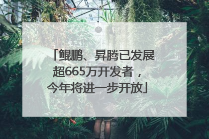 鲲鹏、昇腾已发展超665万开发者，今年将进一步开放