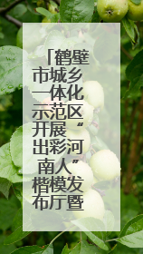 鹤壁市城乡一体化示范区开展“出彩河南人”楷模发布厅暨模范好人进校园宣讲活动