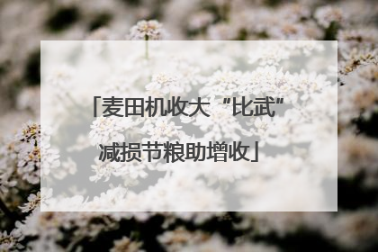 麦田机收大“比武” 减损节粮助增收