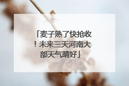 麦子熟了快抢收！未来三天河南大部天气晴好