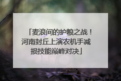 麦浪间的护粮之战！河南封丘上演农机手减损技能巅峰对决
