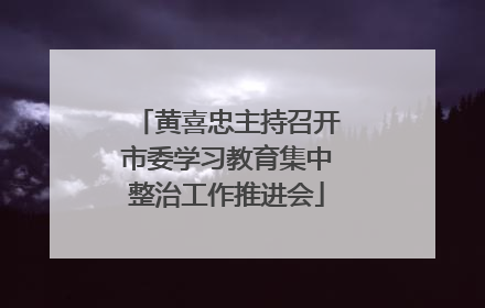 黄喜忠主持召开市委学习教育集中整治工作推进会