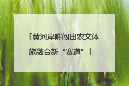 黄河岸畔闯出农文体旅融合新“赛道”