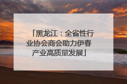 黑龙江：全省性行业协会商会助力伊春产业高质量发展
