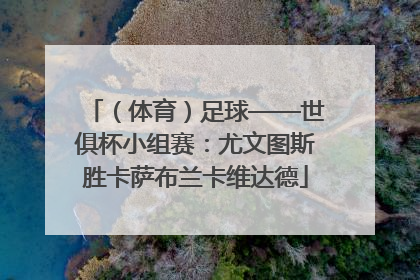 （体育）足球——世俱杯小组赛：尤文图斯胜卡萨布兰卡维达德
