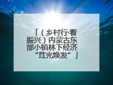 （乡村行·看振兴）内蒙古东部小镇林下经济“茸光焕发”
